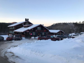 Гостиница Swiss Chalets Village Inn, Конуэй